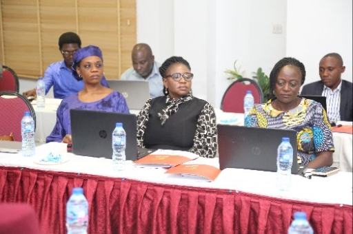 Nilds and UN Women Collaborate to Train Staff on Gender – Responsive Budgeting