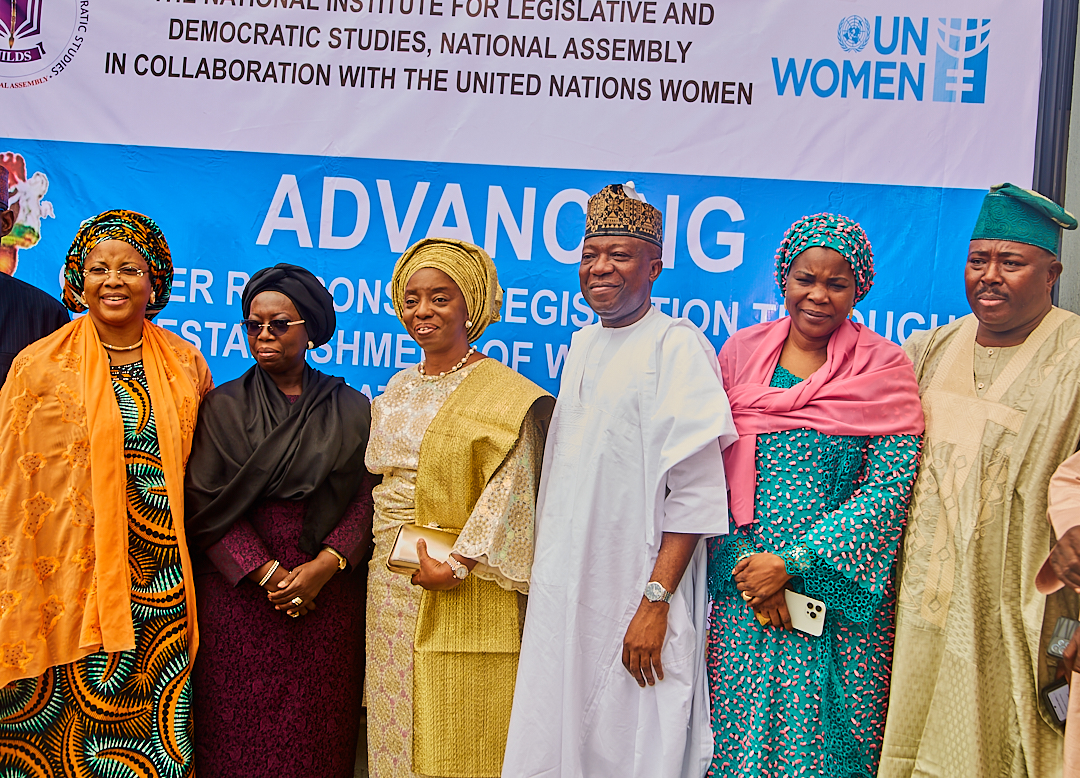 DG NILDS, Prof. Sulaiman Decries Low Number of Women in Governance