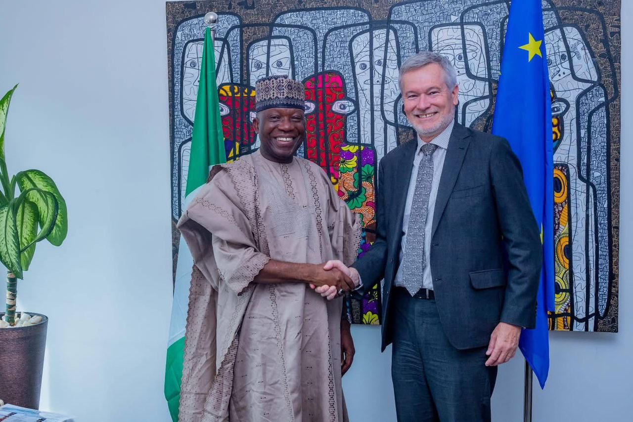 EU Ambassador, NILDS DG Discuss Prospects For Stronger Ties
